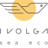 ООО «ИВОЛГА»