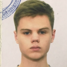 Гуляев Владислав Сергеевич